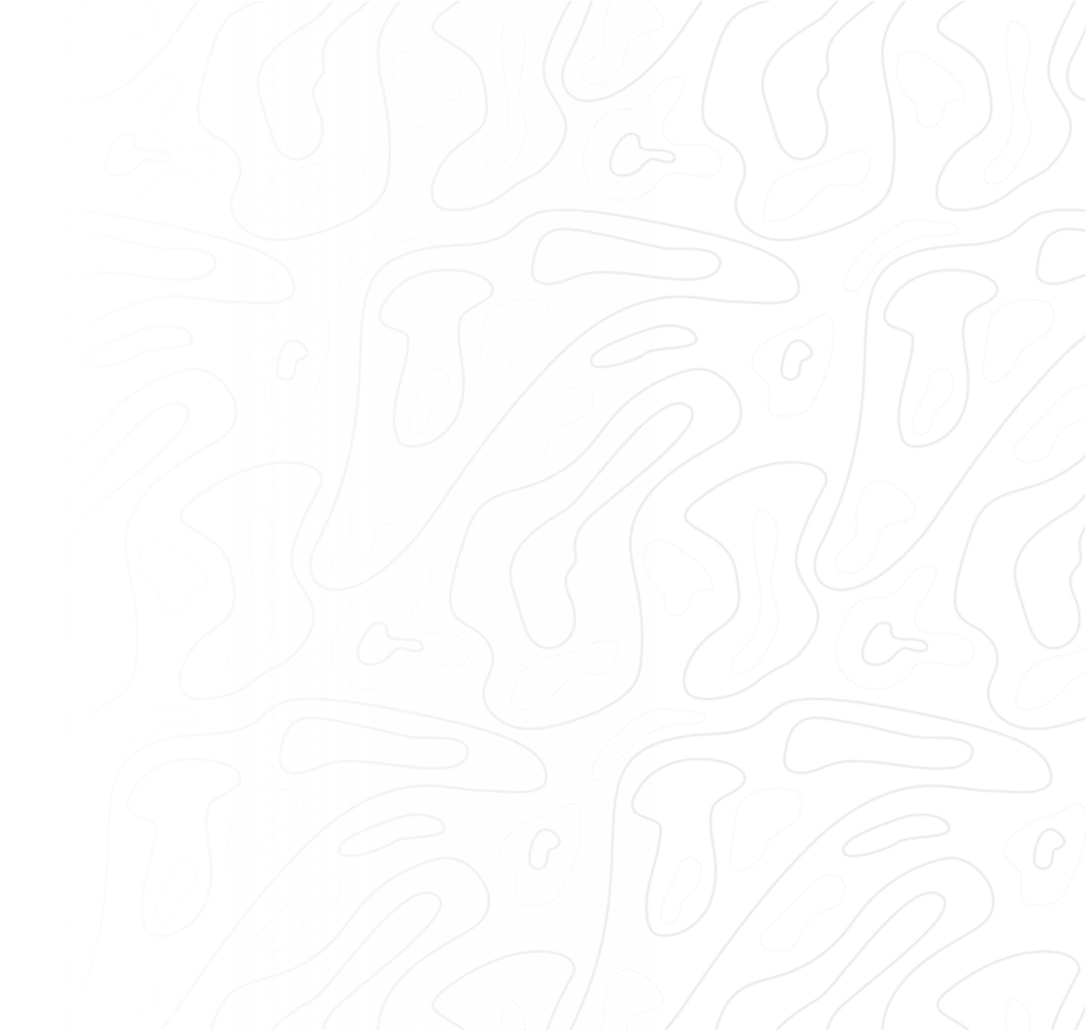 intro-bg-pattern-w_gradient